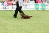 houndshow2012a_88