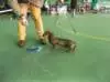 dscf1650_small.jpg