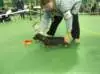 dscf1677_small.jpg