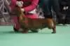 _10154270665960166_7665824116836845743_n_small.jpg